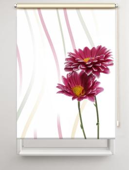 Rollo Astern vertic rechts, Rollo, Motivrollo, Rollo mit Druck, Fotorollo, bedrucktes Rollo, Fensterrollo,verdunkelndes Rollo, Sonnenschutz Rollo